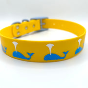 Sunflower Whale of a Time Collar - Large (16"-20")
